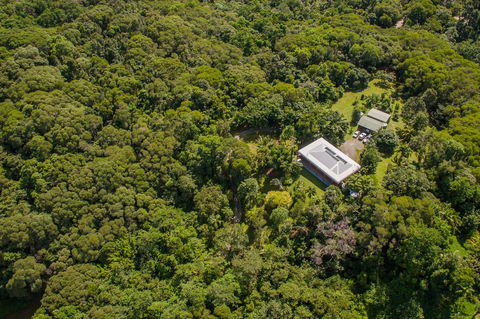 Daintree Manor B&B - Accommodation Bookings 14