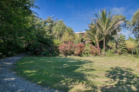 Daintree Manor B&B - Accommodation Bookings 19