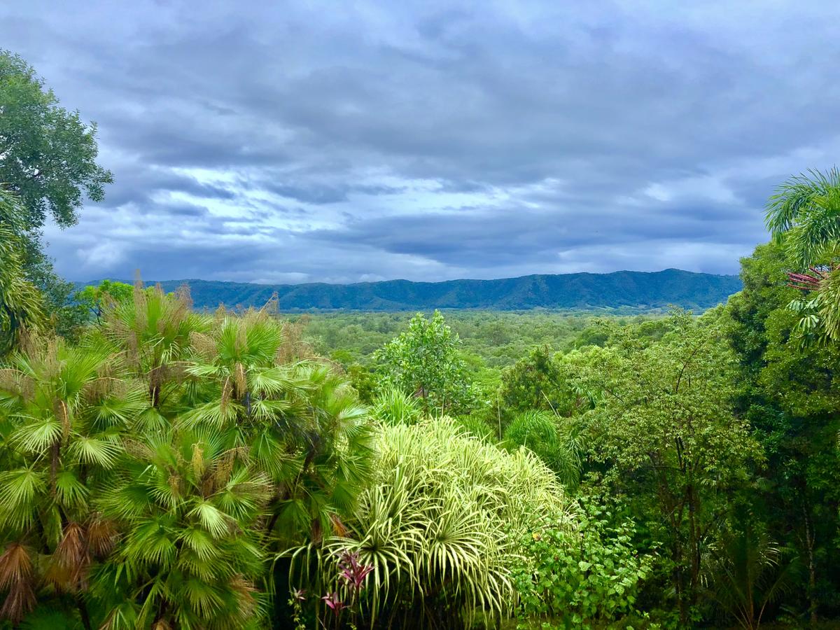 Forest Creek QLD Accommodation Bookings