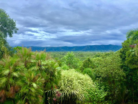 Daintree Manor B&B - Accommodation Bookings 0