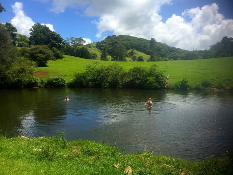 Maleny Springs Farm - Accommodation Bookings 34