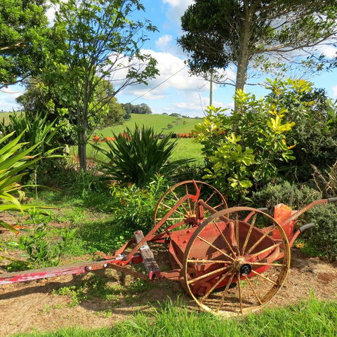 Maleny Springs Farm - Accommodation Bookings 37