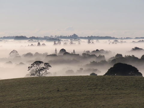 Maleny Springs Farm - Accommodation Bookings 22