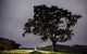 Maleny Springs Farm - thumb 16