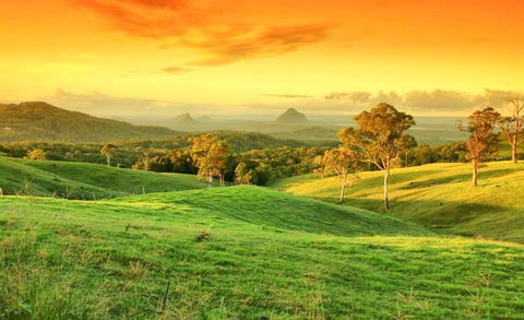 Maleny Springs Farm - Accommodation Bookings 20