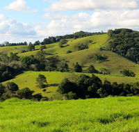 Maleny Springs Farm - Accommodation Bookings
