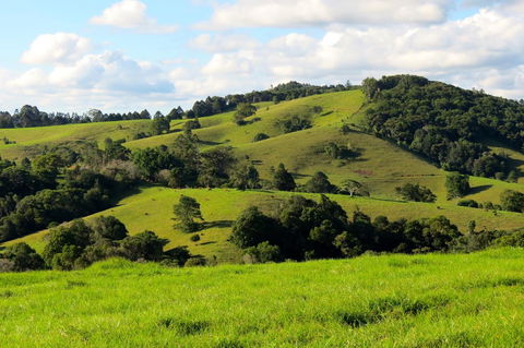 Maleny Springs Farm - Accommodation Bookings 0