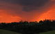 Maleny Springs Farm - thumb 6