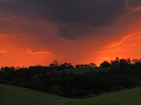 Maleny Springs Farm - Accommodation Bookings 6