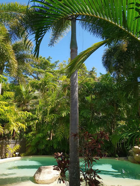 Cassawong Cottages - Accommodation Bookings 16