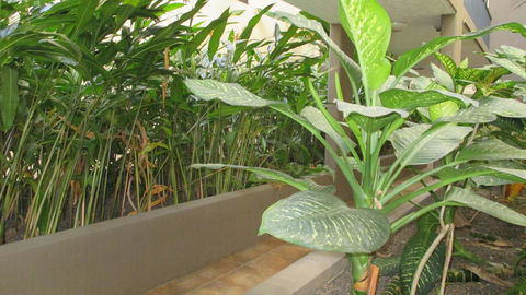Edge Apartments Cairns - Accommodation Bookings 39