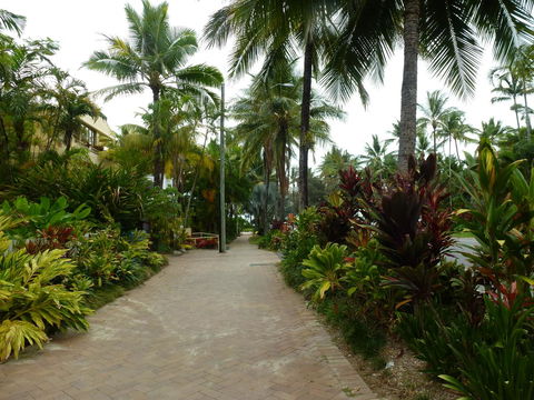 Martinique On Macrossan - Accommodation Bookings 22