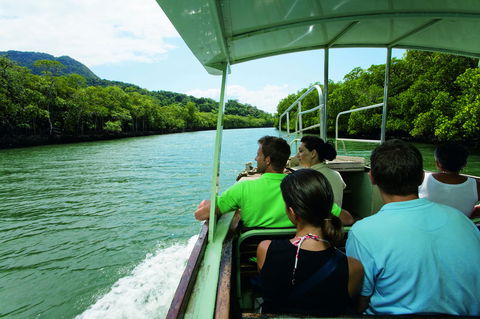 Martinique On Macrossan - Accommodation Bookings 28