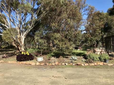 Beeâ€™s Place - 3 Bedroom Home On 10 Acres Of Land With Distant Ocean Views - Accommodation Bookings 15