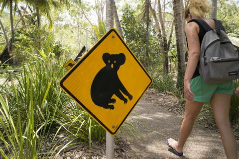 Roamer Magnetic Island Koala Park - Formerly Selina Magnetic Island - Accommodation Bookings 27
