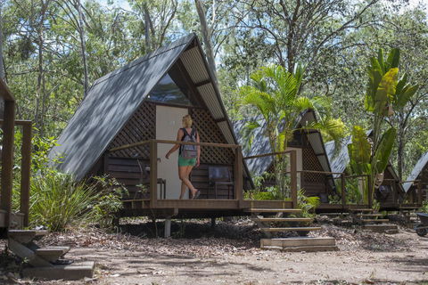Roamer Magnetic Island Koala Park - Formerly Selina Magnetic Island - Accommodation Bookings 5