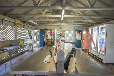 Roamer Magnetic Island Koala Park - Formerly Selina Magnetic Island - Accommodation Bookings 28