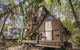 Roamer Magnetic Island Koala Park - Formerly Selina Magnetic Island - thumb 9