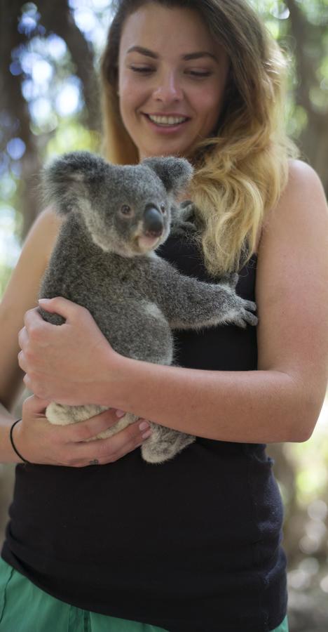 Roamer Magnetic Island Koala Park - Formerly Selina Magnetic Island - Accommodation Bookings 12