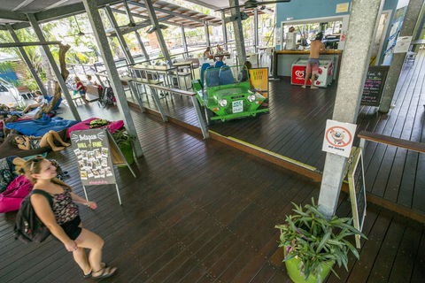 Roamer Magnetic Island Koala Park - Formerly Selina Magnetic Island - Accommodation Bookings 19