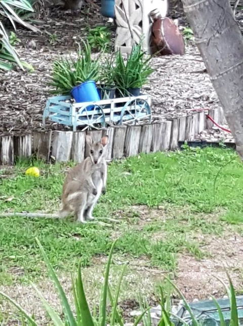 From Bush2Beach Holiday Home - Accommodation Bookings 41