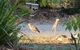 From Bush2Beach Holiday Home - thumb 37
