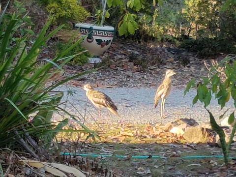 From Bush2Beach Holiday Home - Accommodation Bookings 37