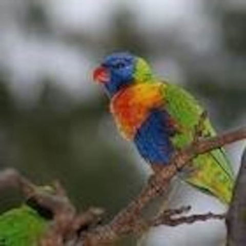 From Bush2Beach Holiday Home - Accommodation Bookings 39