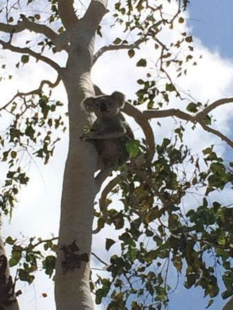 From Bush2Beach Holiday Home - Accommodation Bookings 28