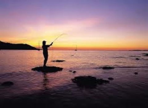 From Bush2Beach Holiday Home - Accommodation Bookings 43
