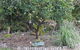 From Bush2Beach Holiday Home - thumb 42