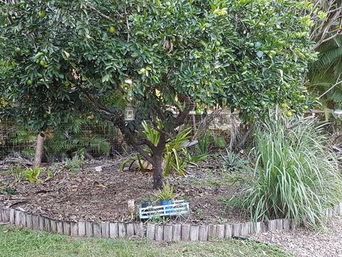 From Bush2Beach Holiday Home - Accommodation Bookings 42