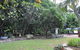 From Bush2Beach Holiday Home - thumb 22