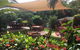 Tropical Palms Resort & 4WD Hire - thumb 23