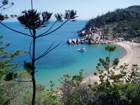 Tropical Palms Resort & 4WD Hire - Accommodation Bookings 33