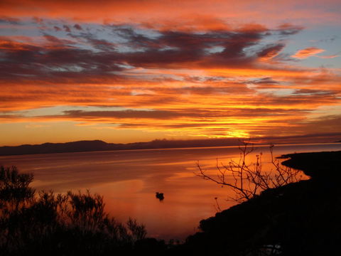 Tropical Palms Resort & 4WD Hire - Accommodation Bookings 30
