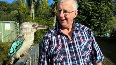 Magnetic Island Bed And Breakfast - Accommodation Bookings 33