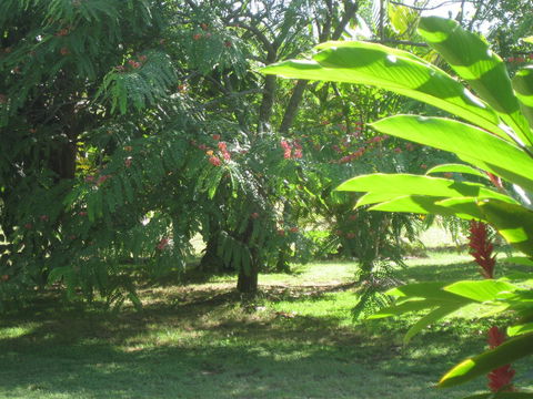 Magnetic Island Bed And Breakfast - Accommodation Bookings 36