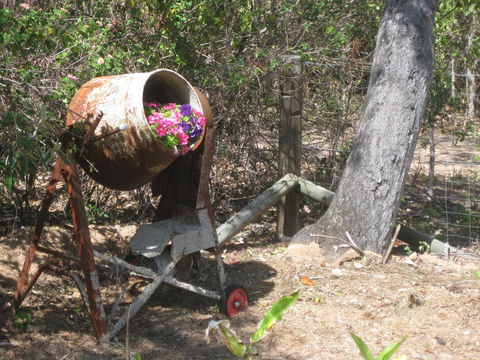 Magnetic Island Bed And Breakfast - Accommodation Bookings 32