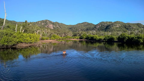 Magnetic Island Bed And Breakfast - Accommodation Bookings 8