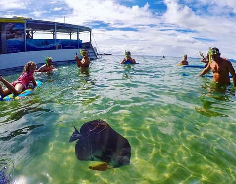 Magnetic Island Guest House - Accommodation Bookings 20