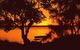 Fabulous Family Destination In Paradise Parade, Bongaree - thumb 2
