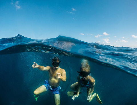 Manta Lodge YHA & Scuba Centre - Accommodation Bookings 12