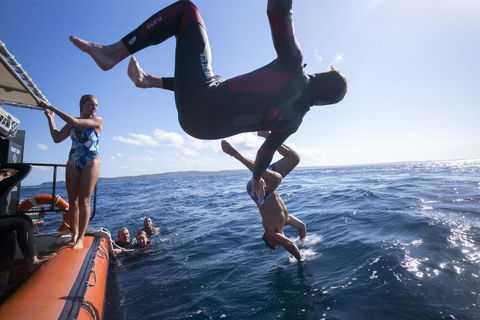 Manta Lodge YHA & Scuba Centre - Accommodation Bookings 11