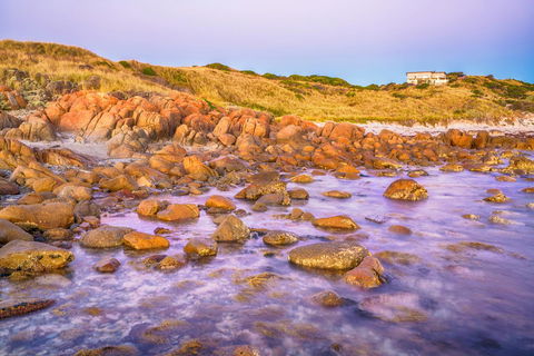 Porky Beach Retreat - King Island Escapes - Accommodation Bookings 9