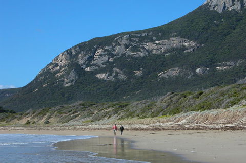 Mountain Seas Lodge - Accommodation Bookings 17