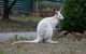 Adventure Bay Holiday Home - thumb 14