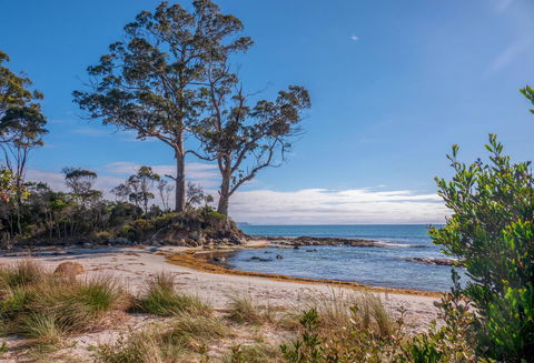 Adventure Bay Holiday Home - Accommodation Bookings 12