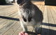 Parnella Adventure Bay, Bruny Island - thumb 17