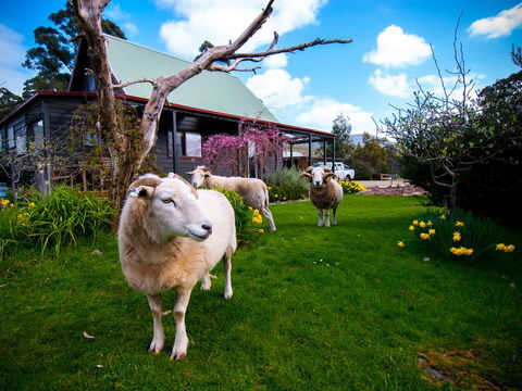 Parnella Adventure Bay, Bruny Island - Accommodation Bookings 19
